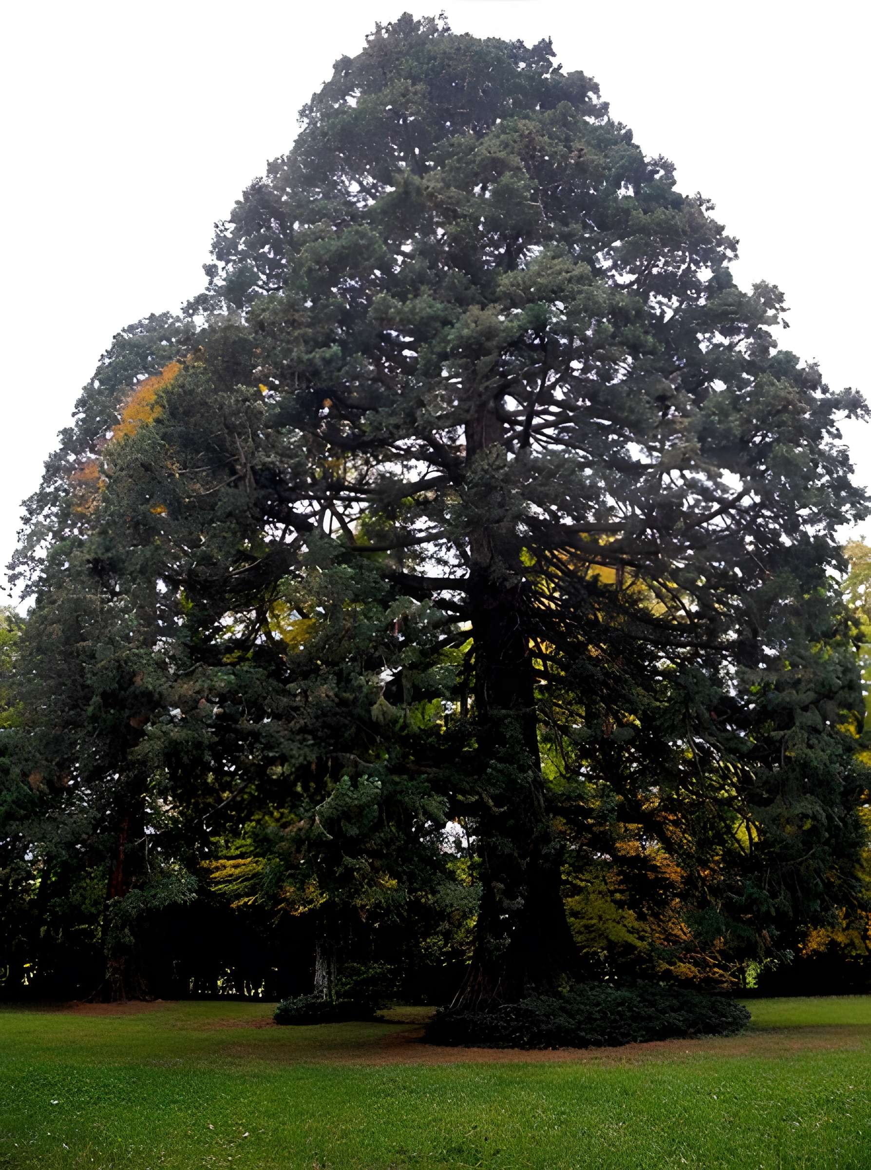 Foyer de Charité d'Ottrott
