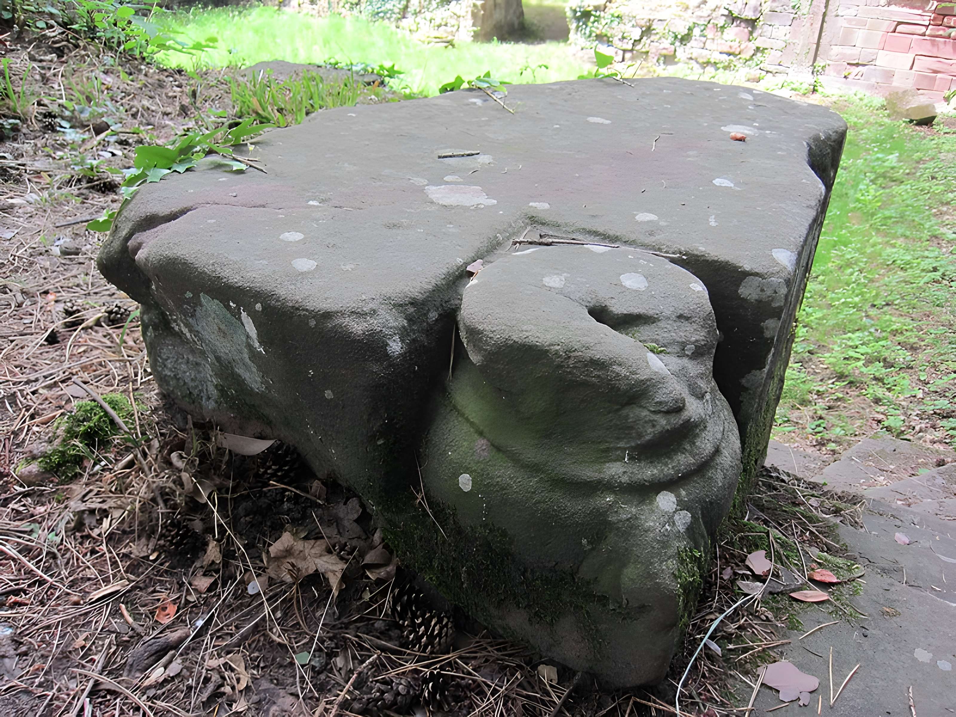 Foyer de Charité d'Ottrott