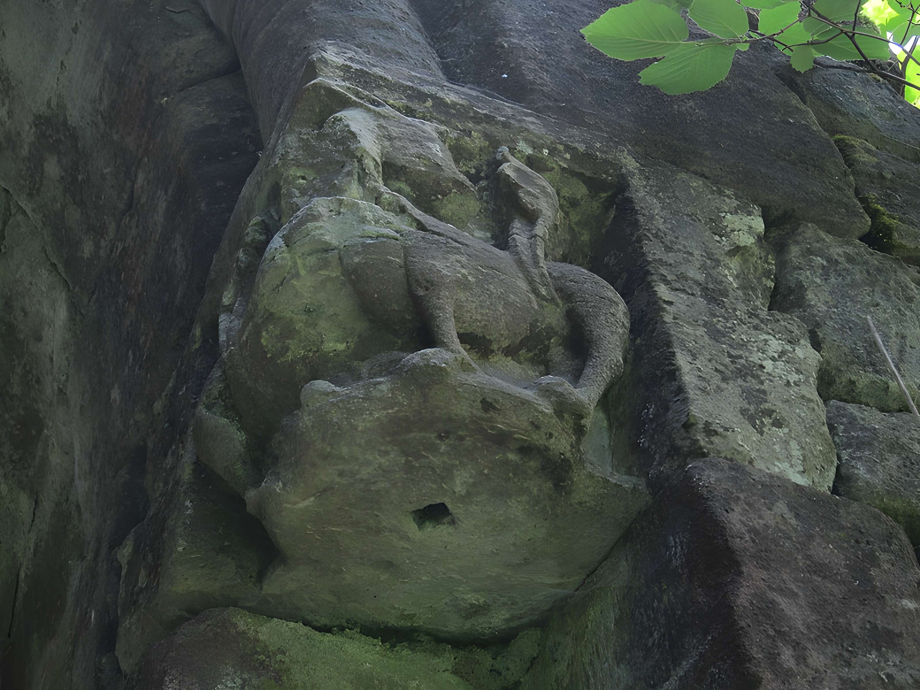 Foyer de Charité d'Ottrott