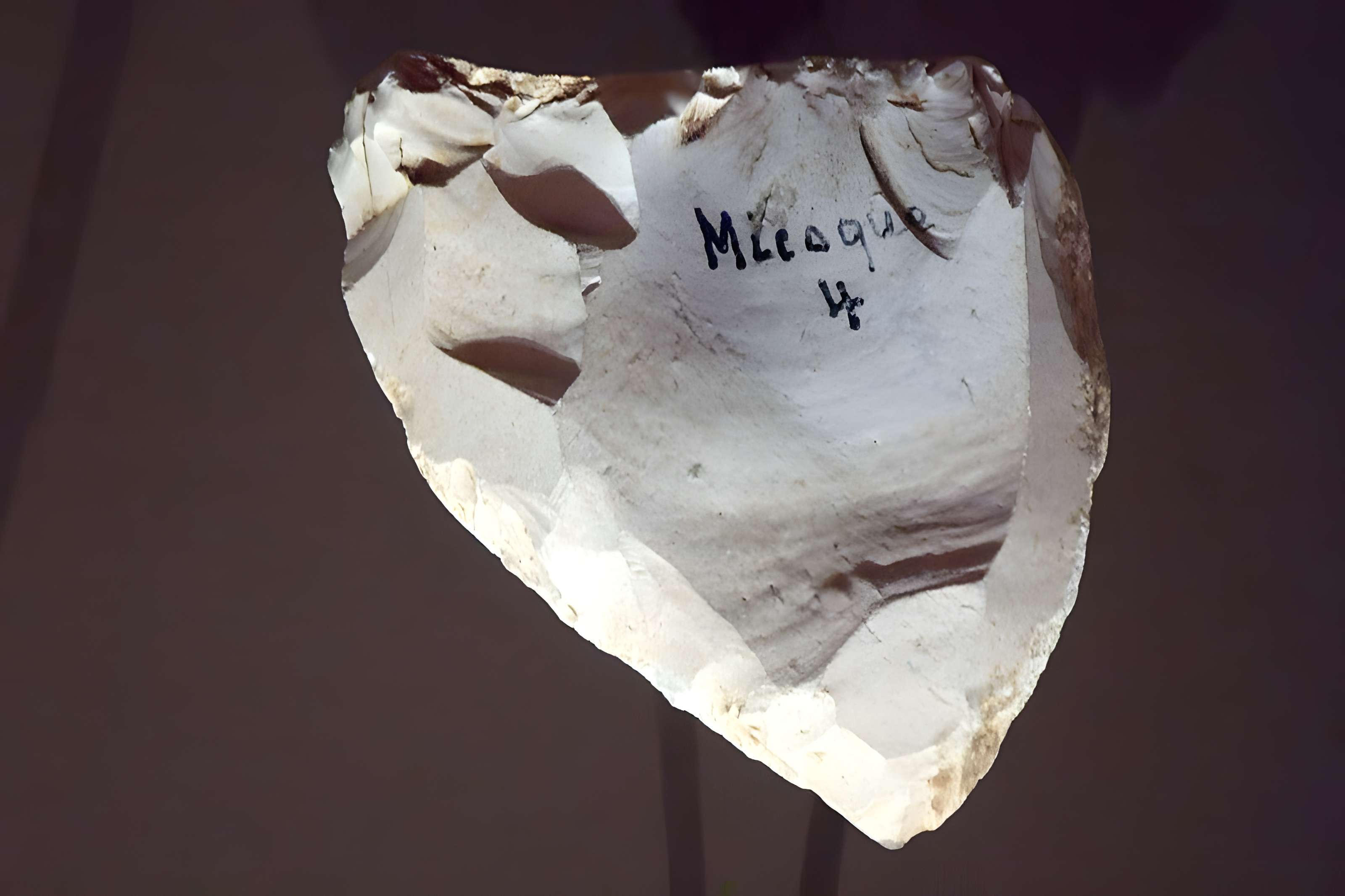 Gisement de la Micoque aux Eyzies-de-Tayac-Sireuil