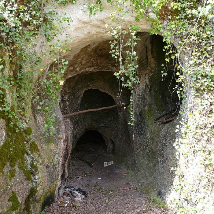 Photo de Gisement préhistorique de Rochereil à Grand-Brassac