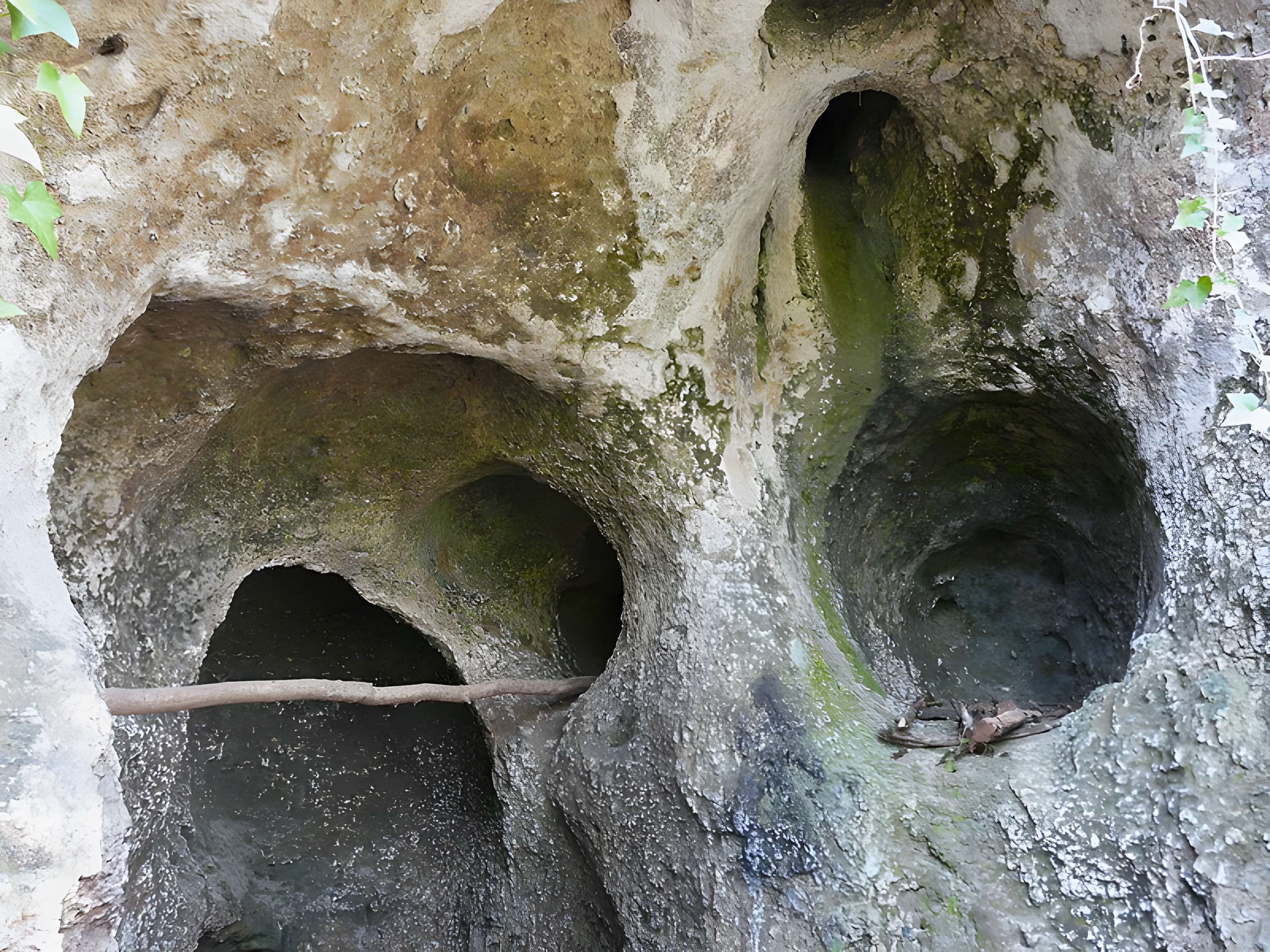 Gisement préhistorique de Rochereil à Grand-Brassac