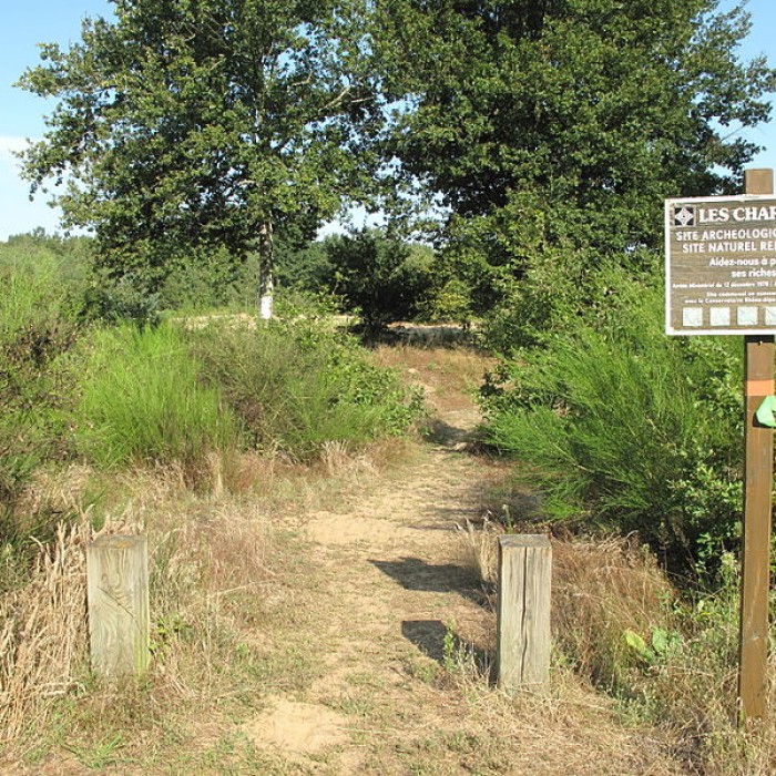Photo de Gisement préhistorique de Sermoyer