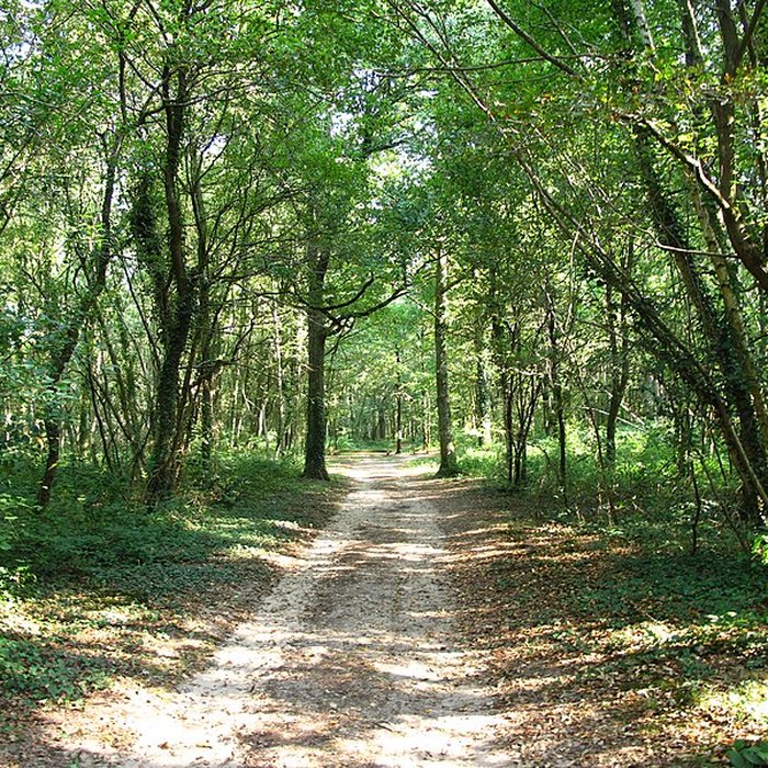 Photo de Gisement préhistorique de Sermoyer