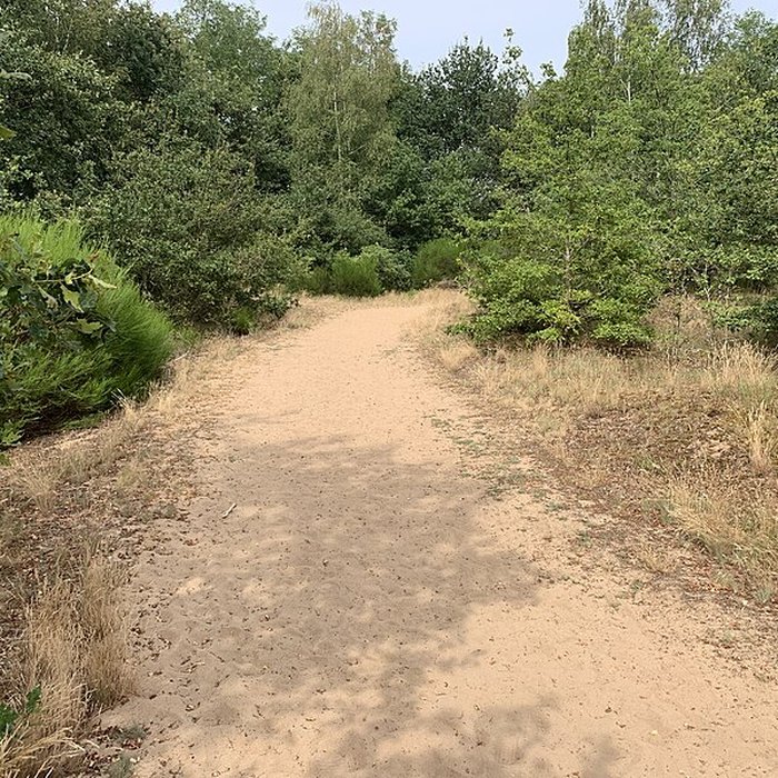 Photo de Gisement préhistorique de Sermoyer