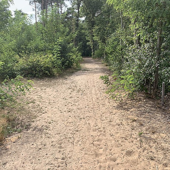 Photo de Gisement préhistorique de Sermoyer