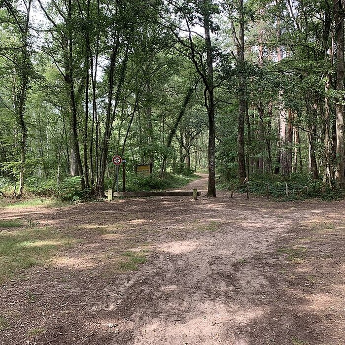 Photo de Gisement préhistorique de Sermoyer