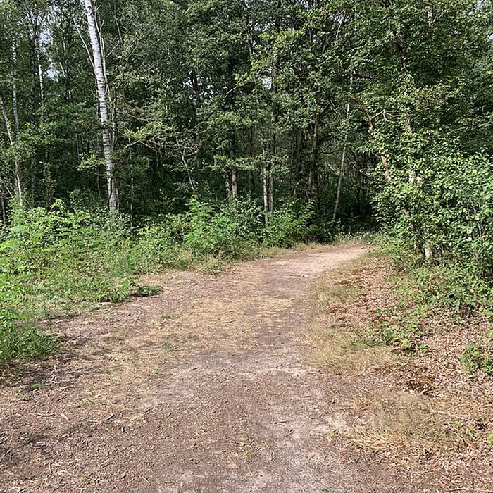 Photo de Gisement préhistorique de Sermoyer