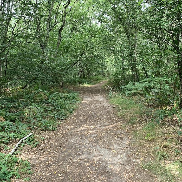 Photo de Gisement préhistorique de Sermoyer