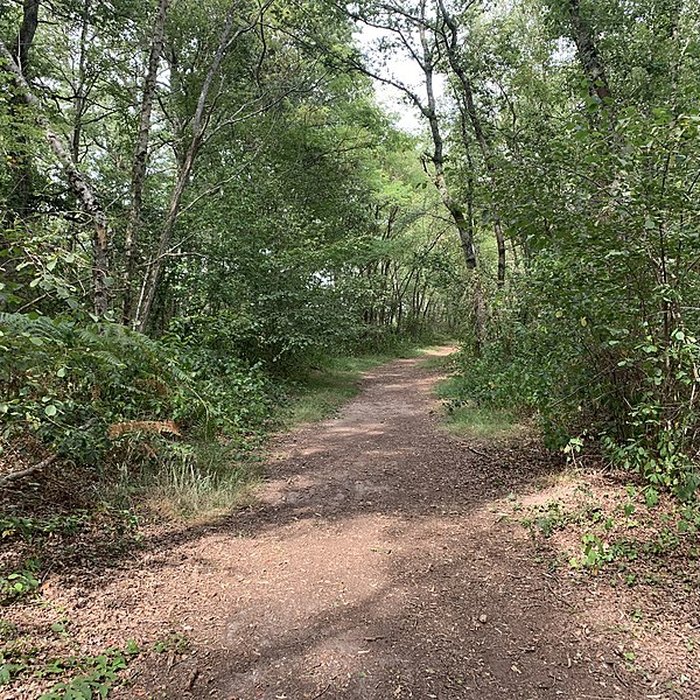 Photo de Gisement préhistorique de Sermoyer