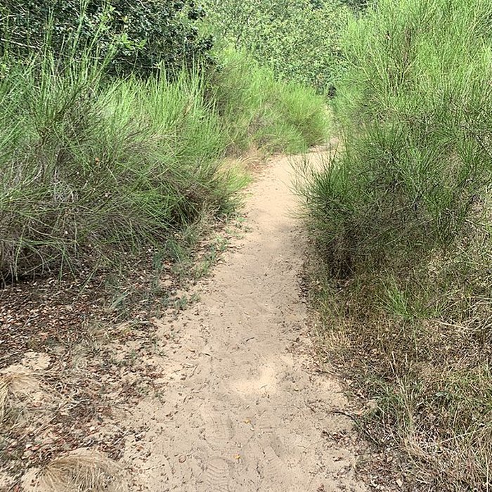 Photo de Gisement préhistorique de Sermoyer