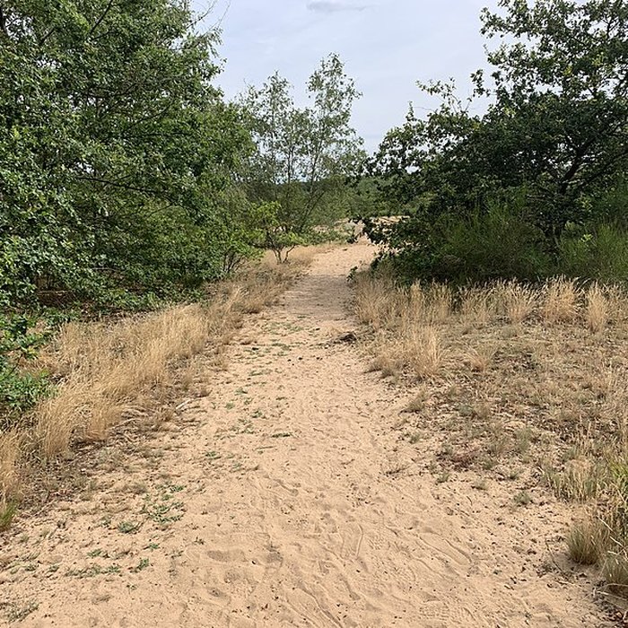 Photo de Gisement préhistorique de Sermoyer