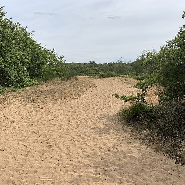 Photo de Gisement préhistorique de Sermoyer