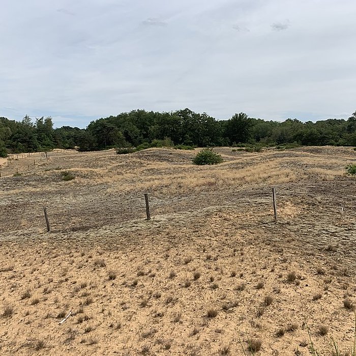 Photo de Gisement préhistorique de Sermoyer