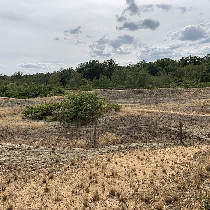 Photo de Gisement préhistorique de Sermoyer