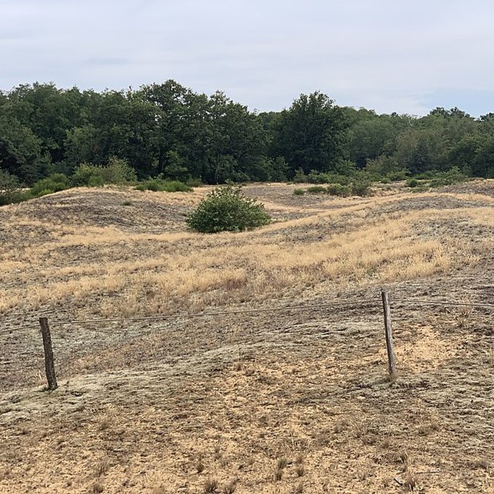 Photo de Gisement préhistorique de Sermoyer