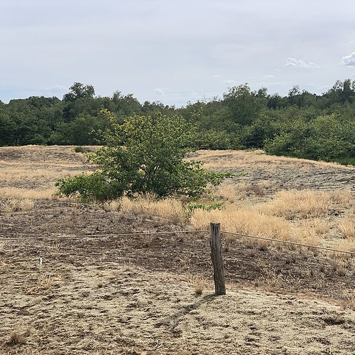 Photo de Gisement préhistorique de Sermoyer