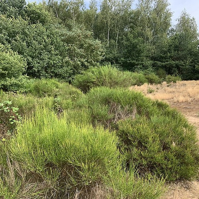 Photo de Gisement préhistorique de Sermoyer