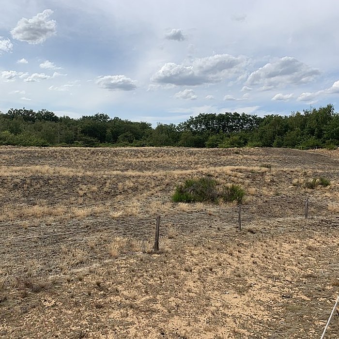 Photo de Gisement préhistorique de Sermoyer