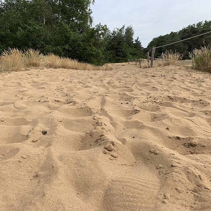 Photo de Gisement préhistorique de Sermoyer