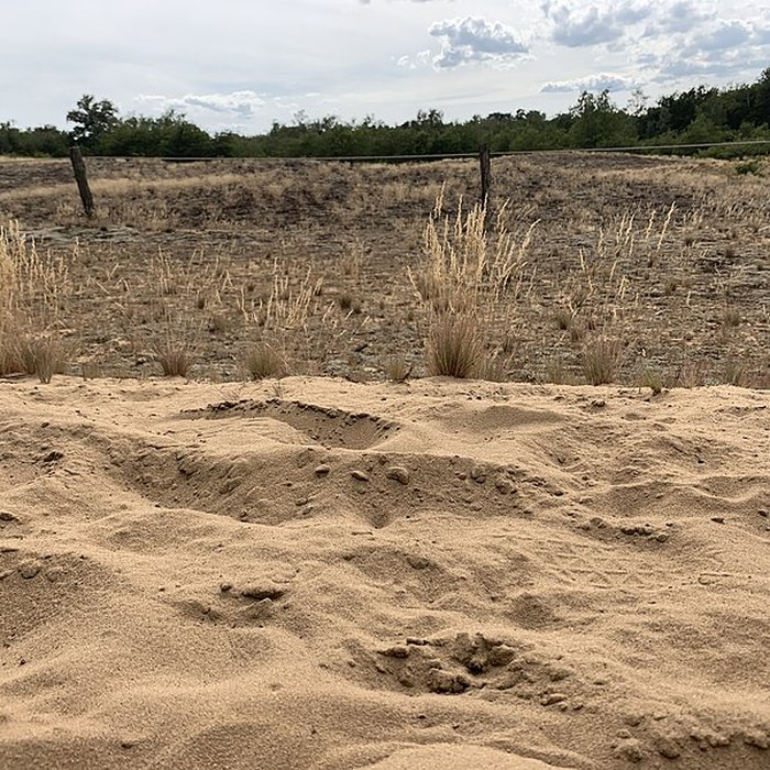 Photo de Gisement préhistorique de Sermoyer