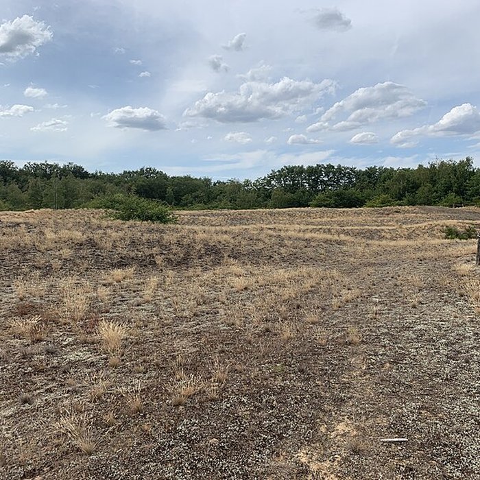 Photo de Gisement préhistorique de Sermoyer