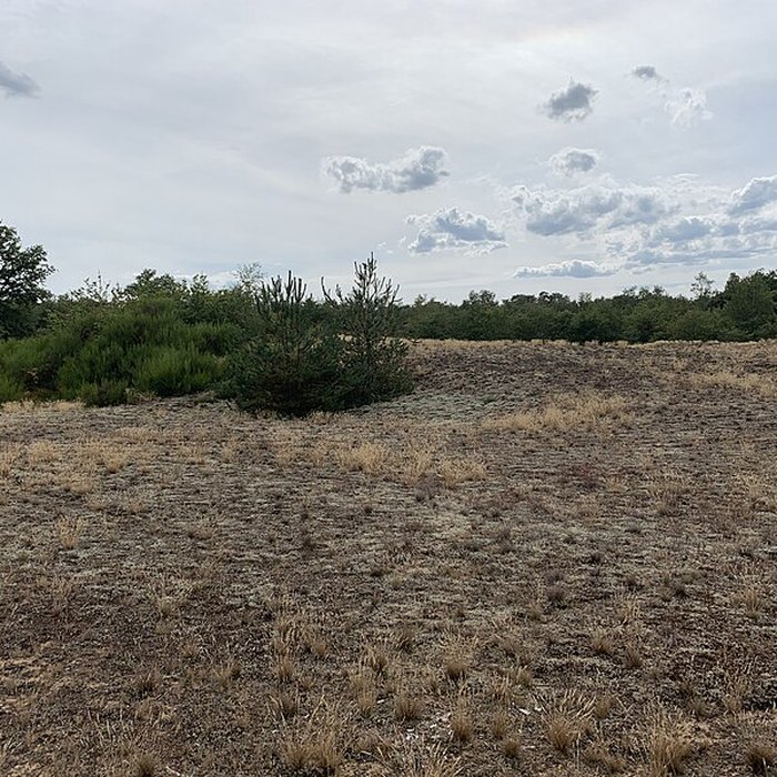 Photo de Gisement préhistorique de Sermoyer