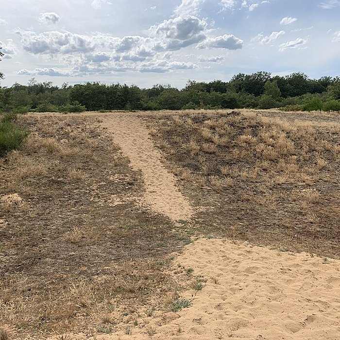 Photo de Gisement préhistorique de Sermoyer