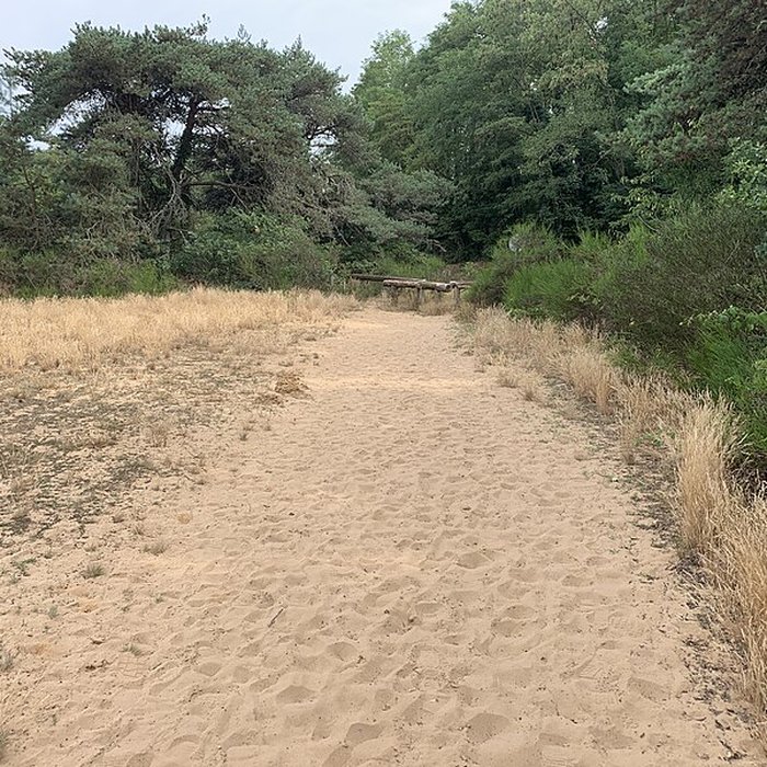 Photo de Gisement préhistorique de Sermoyer