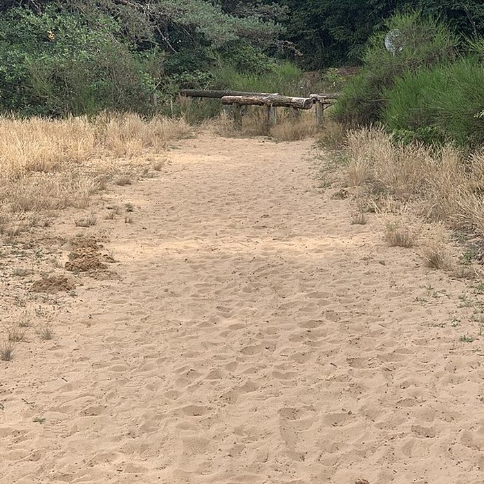 Photo de Gisement préhistorique de Sermoyer