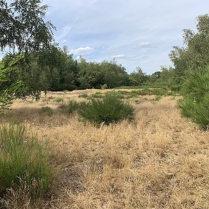 Photo de Gisement préhistorique de Sermoyer