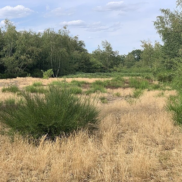 Photo de Gisement préhistorique de Sermoyer