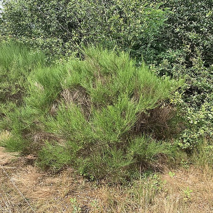 Photo de Gisement préhistorique de Sermoyer