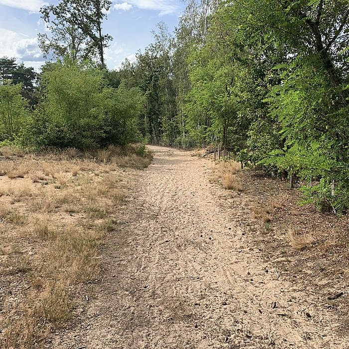 Photo de Gisement préhistorique de Sermoyer