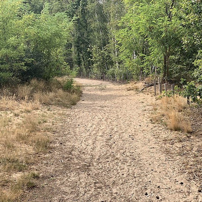 Photo de Gisement préhistorique de Sermoyer