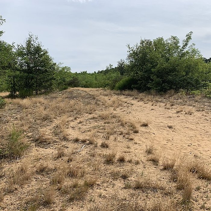 Photo de Gisement préhistorique de Sermoyer