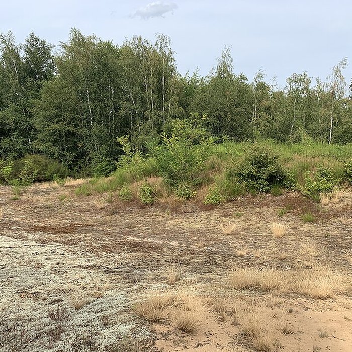 Photo de Gisement préhistorique de Sermoyer