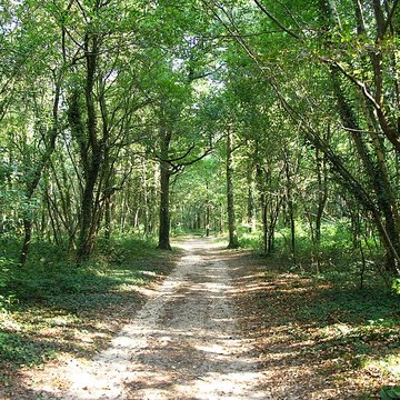 Gisement préhistorique de Sermoyer