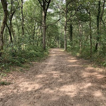 Gisement préhistorique de Sermoyer