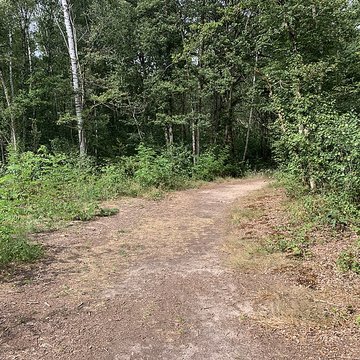 Gisement préhistorique de Sermoyer