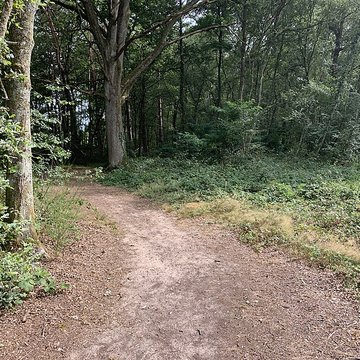 Gisement préhistorique de Sermoyer