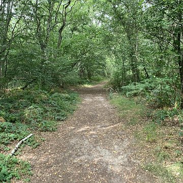 Gisement préhistorique de Sermoyer