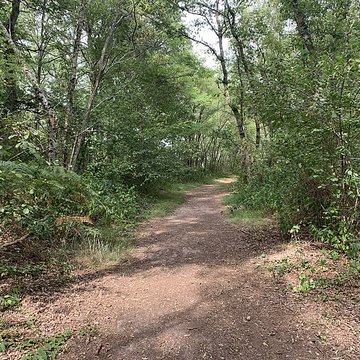 Gisement préhistorique de Sermoyer