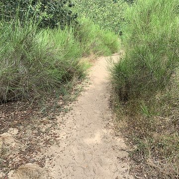 Gisement préhistorique de Sermoyer