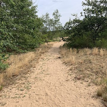 Gisement préhistorique de Sermoyer