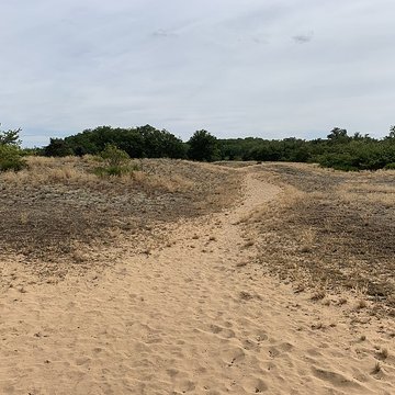 Gisement préhistorique de Sermoyer