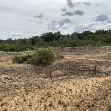 Gisement préhistorique de Sermoyer