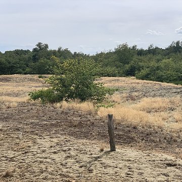Gisement préhistorique de Sermoyer