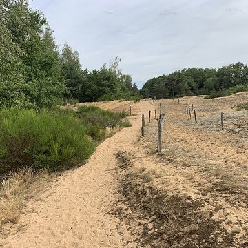 Gisement préhistorique de Sermoyer