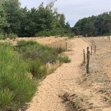 Gisement préhistorique de Sermoyer